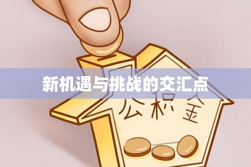 卧龙新机遇与挑战的交汇点