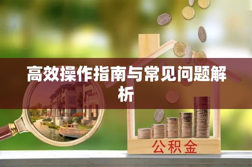 卧龙高效操作指南与常见问题解析