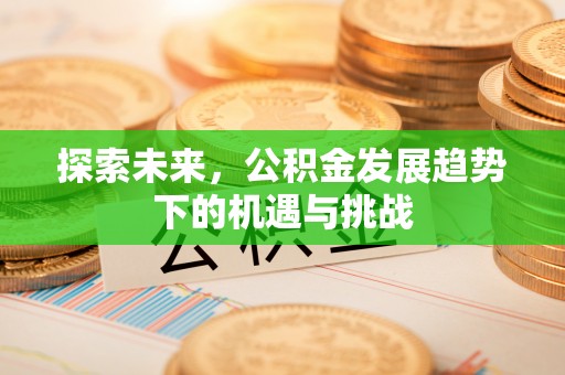 卧龙探索未来，公积金发展趋势下的机遇与挑战