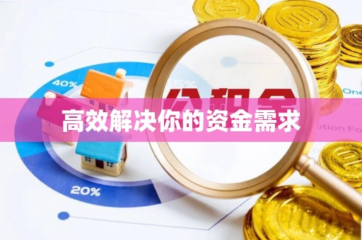 卧龙高效解决你的资金需求
