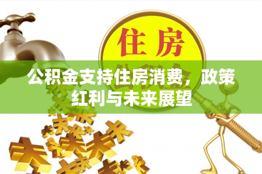 卧龙公积金支持住房消费，政策红利与未来展望