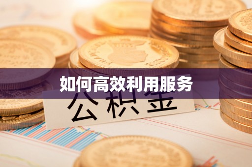卧龙如何高效利用服务