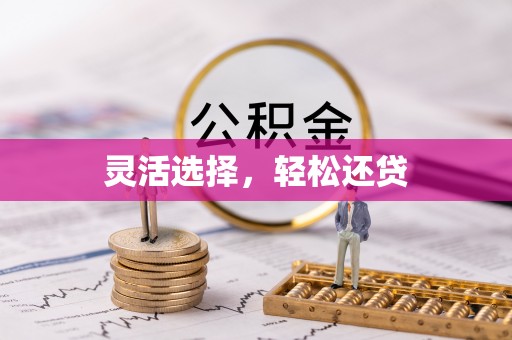 卧龙灵活选择，轻松还贷