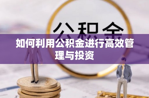 卧龙如何利用公积金进行高效管理与投资